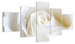 Tablou - trandafiri albi (125x70cm)