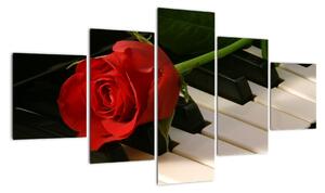 Tablou - trandafir pe pian (125x70cm)