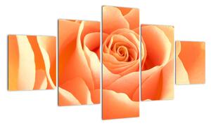 Tablou - trandafiri portocalii (125x70cm)