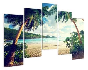 Tablou modern - palmieri pe plajă (125x90cm)
