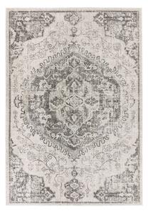 Covor gri/crem 160x230 cm Nova – Asiatic Carpets