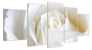 Tablou - trandafiri albi (150x70cm)