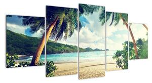 Tablou modern - palmieri pe plajă (150x70cm)