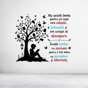 Sticker perete Nu exista limite pentru un copil care citeste