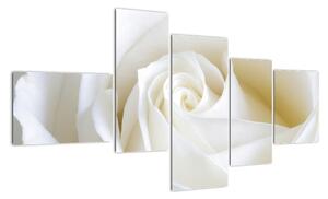 Tablou - trandafiri albi (150x85cm)
