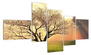 Tablou modern (150x85cm)