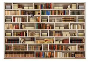 Tapet în format mare Artgeist Home Library, 400 x 280 cm