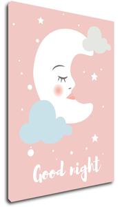 Impresi Obraz Good night pink moon - 30 x 40 cm
