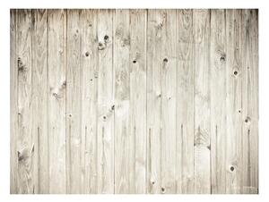 Tapet în format mare Artgeist Wood Fence, 200 x 154 cm
