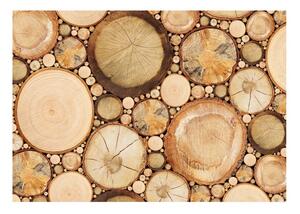 Tapet în format mare Artgeist Wood Grains, 400 x 280 cm