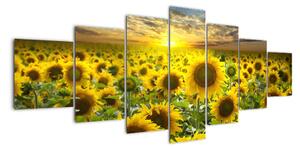 Tablouri - floarea-soarelui (210x100cm)