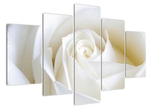 Tablou - trandafiri albi (150x105cm)