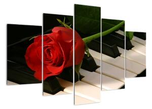 Tablou - trandafir pe pian (150x105cm)