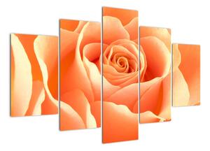 Tablou - trandafiri portocalii (150x105cm)