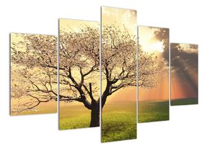 Tablou modern (150x105cm)