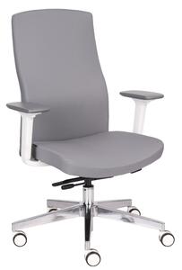 Scaun de birou Team Pro W Chrome