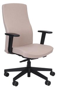 Scaun de birou Team Pro Black