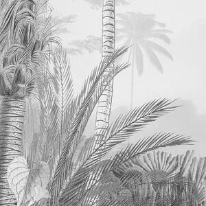 Komar Fototapet mural Lac Tropical alb & negru, 200x270 cm R2-008