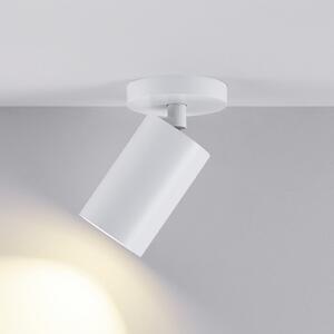 Deko-Light Spot de plafon CAN TILT, alb, Ø 8 cm, 1 bec, metal, GU10, reglabil, Alb, Camera de zi / sufragerie, Aluminiu