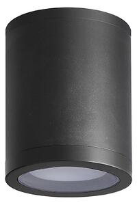 Prezent 48332 - Lampă spot exterior MOPTI 1xE27/12W/230V negru IP54