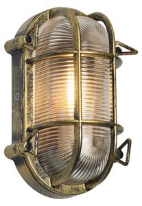 Lampă de exterior de perete și de plafon auriu antic 5,2 cm ovală IP44 - Noutica