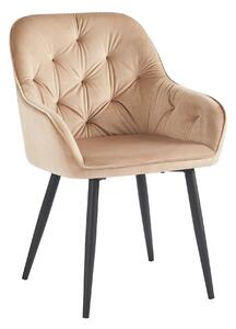 Scaun VERIO, stofa catifelata maro deschis - Bluvel 28, 59x62x81 cm