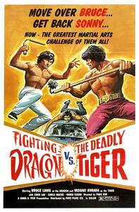 Ilustrație Fighting Dragon Vs Deadly Tiger