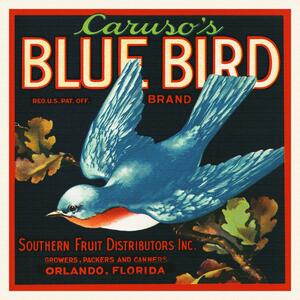 Reproducere Caruso's Blue Bird Brand (Colourful Retro Graphic / Vintage Fruit & Fresh Produce Advertisement) - Florida Crate Labels