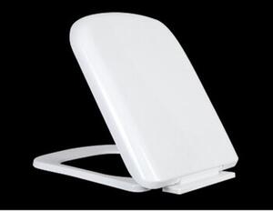Capac wc KJ910 4139