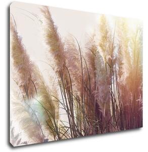 Impresi Tablou Grass - 70 x 50 cm