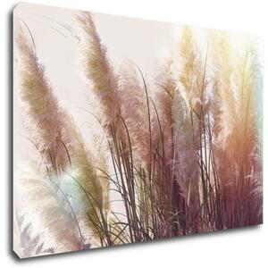 Impresi Tablou Grass - 60 x 40 cm