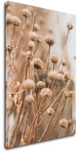 Impresi Tablou Scandinavian style dry grass - 60 x 40 cm
