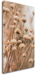 Impresi Tablou Scandinavian style dry grass - 30 x 50 cm