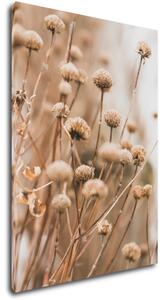 Impresi Tablou Scandinavian style dry grass - 50 x 70 cm