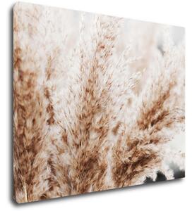 Impresi Tablou Dry flowers detail - 90 x 70 cm