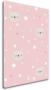 Impresi Obraz Cats Dream Big - 30 x 40 cm