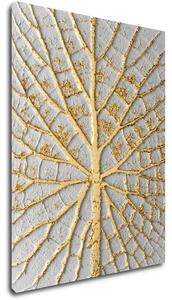 Impresi Tablou Leaf structure - 30 x 40 cm