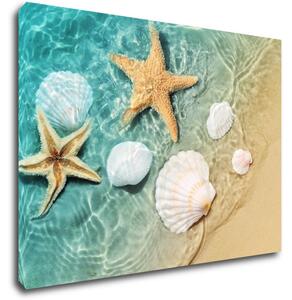 Impresi Tablou Shells by the sea - 70 x 50 cm