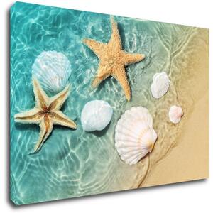Impresi Tablou Shells by the sea - 60 x 40 cm
