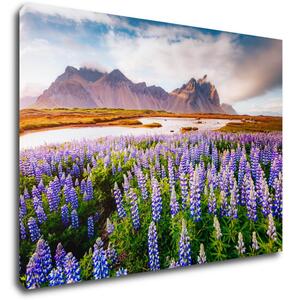Impresi Tablou Lila blossoming flowers - 70 x 50 cm