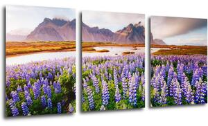 Impresi Tablou Lila blossoming flowers - 150 x 70 cm (3-piese)