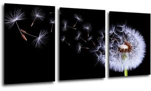 Impresi Tablou Dandelion black and green - 150 x 70 cm (3-piese)