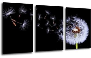 Impresi Tablou Dandelion black and green - 120 x 60 cm (3-piese)