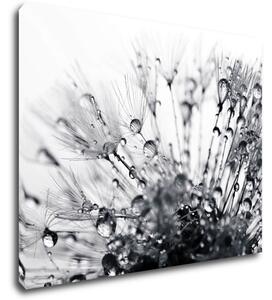 Impresi Tablou Flower with little drops of water - 90 x 70 cm