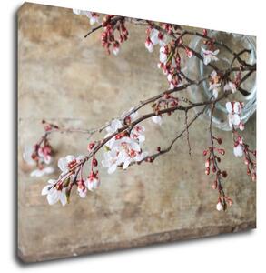 Impresi Tablou Pink blossom - 70 x 50 cm