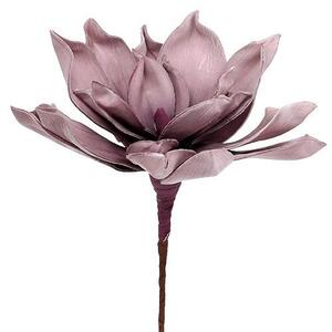 Floare magnolie roz