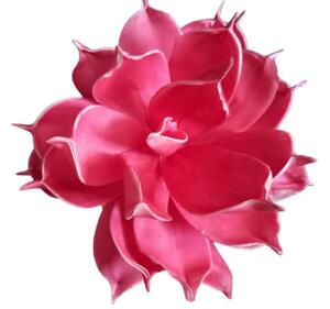 Floare Lotus pink