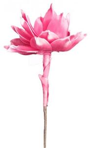 Floare Lotus pink