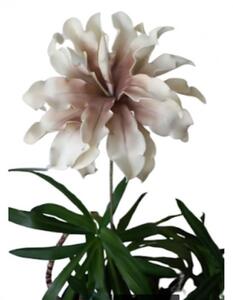 Floare decorativa,Dracena alb-roz pudrat, D30CM