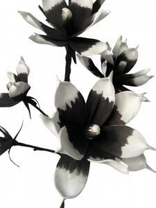 Floare decorativa creanga magnolie,sapte flori alb-negru,foam ,H100cm